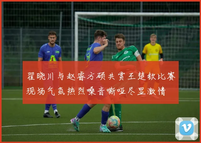 翟晓川与赵睿方硕共赏王楚钦比赛现场气氛热烈嗓音嘶哑尽显激情