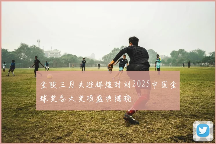 金陵三月共迎辉煌时刻2025中国金球奖各大奖项盛典揭晓