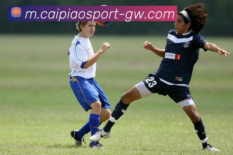 大发彩票APP 高清赛事图